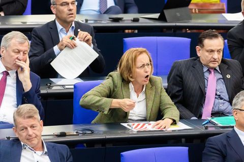 Die AfD-Fraktion im Bundestag