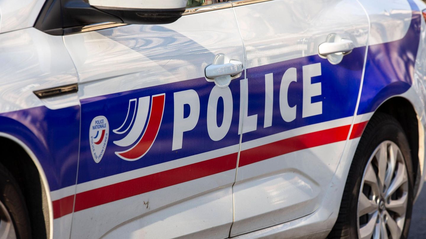 France: Investigators prevent attack on Putin opponent