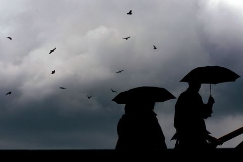 Im Tagesverlauf dürfte sich der Regenschirm noch lohnen, bevor es am Samstag etwas freundlicher wird. (Archivbild) Foto: Oliver