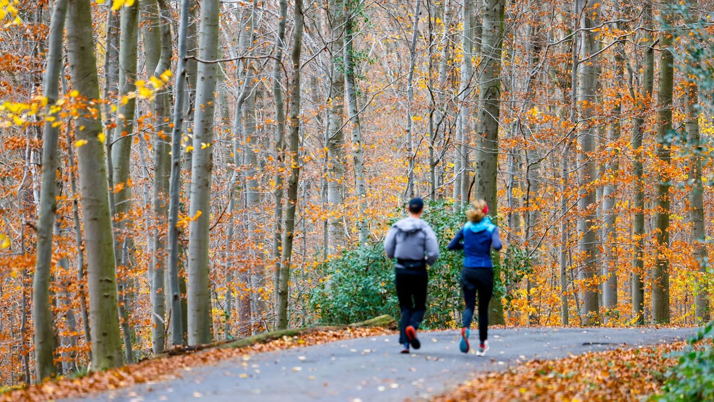 Am Wochenende lädt freundliches Herbstwetter zu Aktivitäten an der frischen Luft ein. (Archivbild) Foto: Thomas Banneyer/dpa