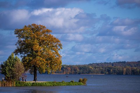 Das Wochenende im Norden wird freundlich mit einem Wechsel aus Sonne und Wolken. (Symbolbild) Foto: Jens Büttner/dpa