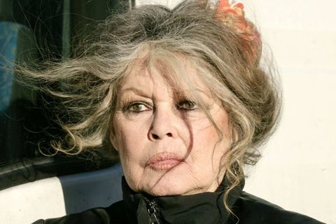 Brigitte Bardot soll im Krankenhaus behandelt werden.