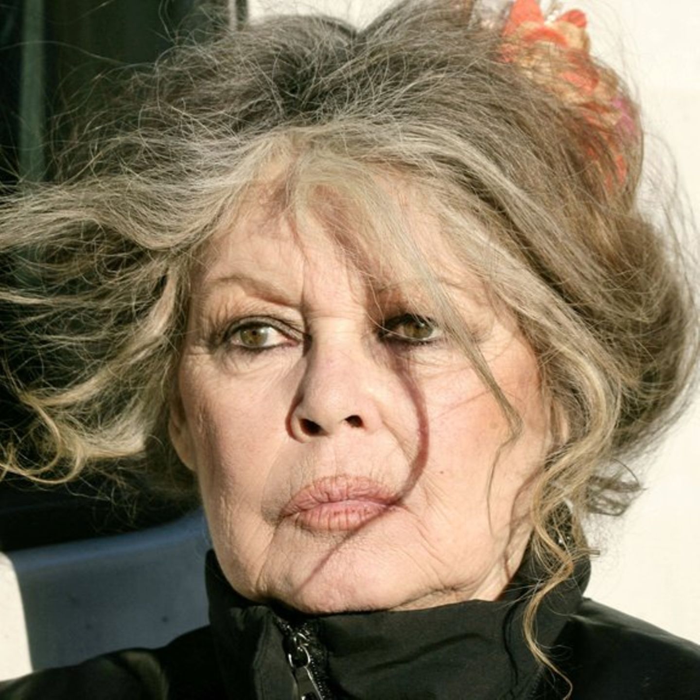 Brigitte Bardot soll im Krankenhaus behandelt werden.