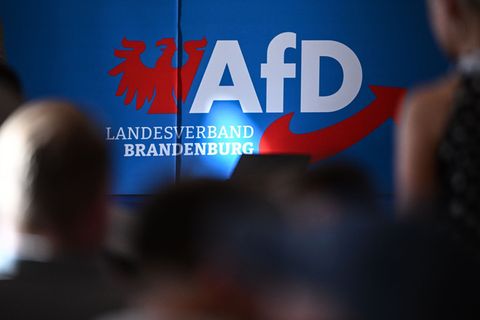 Im Januar streiten AfD und Verfassungsschutz vor Gericht. (Archivbild) Foto: Britta Pedersen/dpa