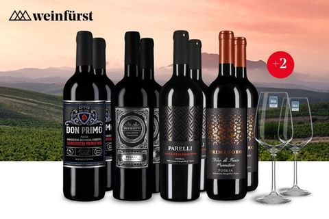 Probierpaket Primitivo Stars