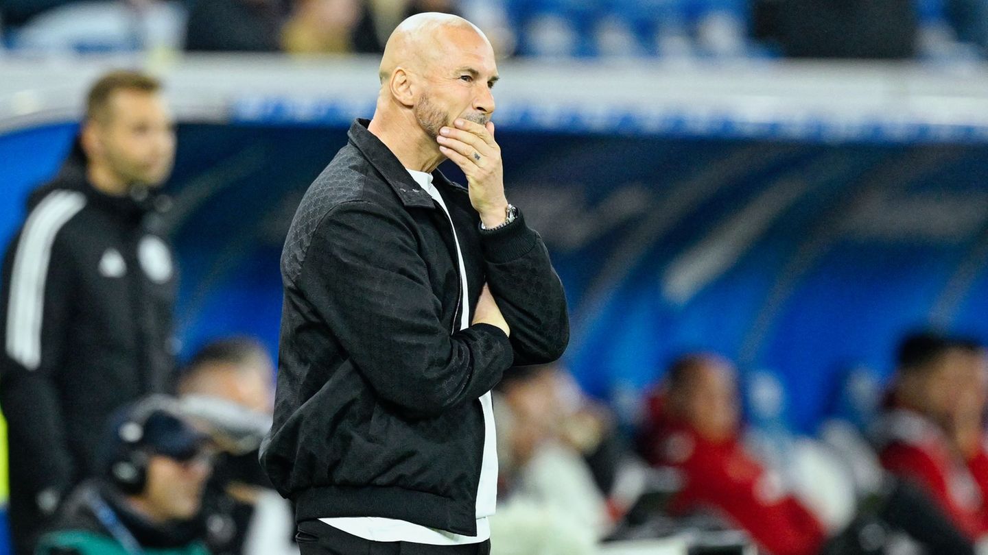 Trainer Ilzer wartet seit über einem Monat auf einen Bundesligasieg mit der TSG Hoffenheim. (Archivbild) Foto: Uwe Anspach/dpa