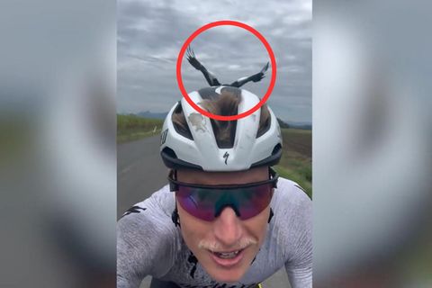 Elster attackiert Triathlet bei Fahrt