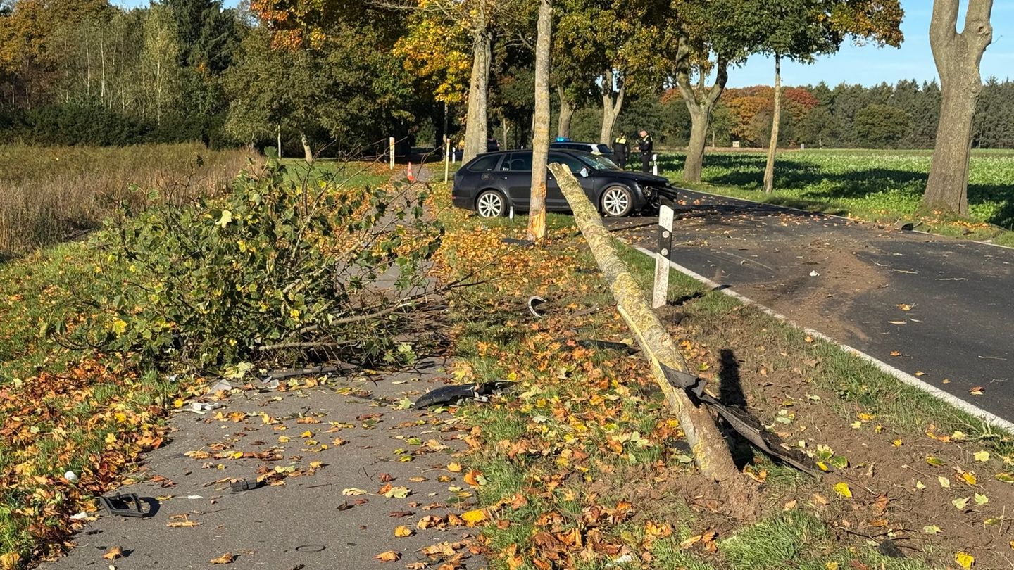 Ein 32-Jähriger ist mit seinem Auto gegen drei Bäume gekracht und lebensgefährlich verletzt worden. Foto: Matthias Brüning/dpa