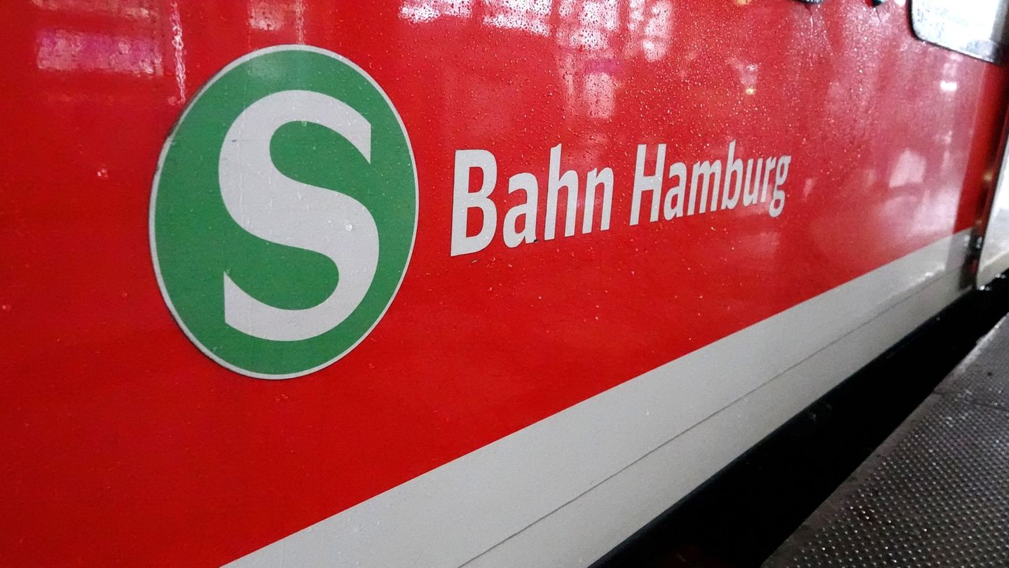 Die S2 fährt zwischen Berliner Tor und Billwerder-Moorfleet wegen Brückenarbeiten nicht, Fahrgäste müssen Ersatzbusse nehmen. (S