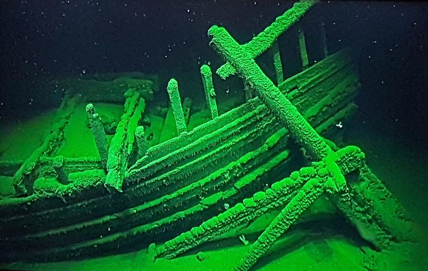 Archäologie unter Wasser: Wrack eines römischen Schiffes im Schwarzen Meer