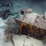 Archäologie in der Tiefsee: Ein von Seeanemonen bewachsener Panzerscharank liegt am Meeresgrund