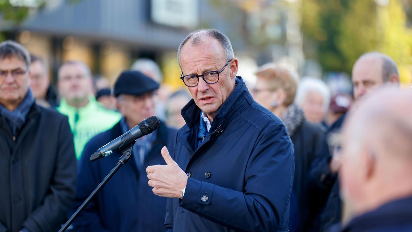 AfD will never be a partner for Friedrich Merz