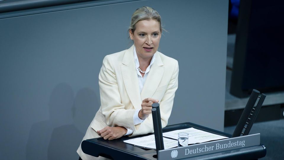 AfD-Chefin Alice Weidel spricht im Bundestag AfD-Chefin Alice Weidel spricht im Bundestag