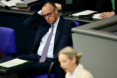 Merz und AfD-Chefin Weidel