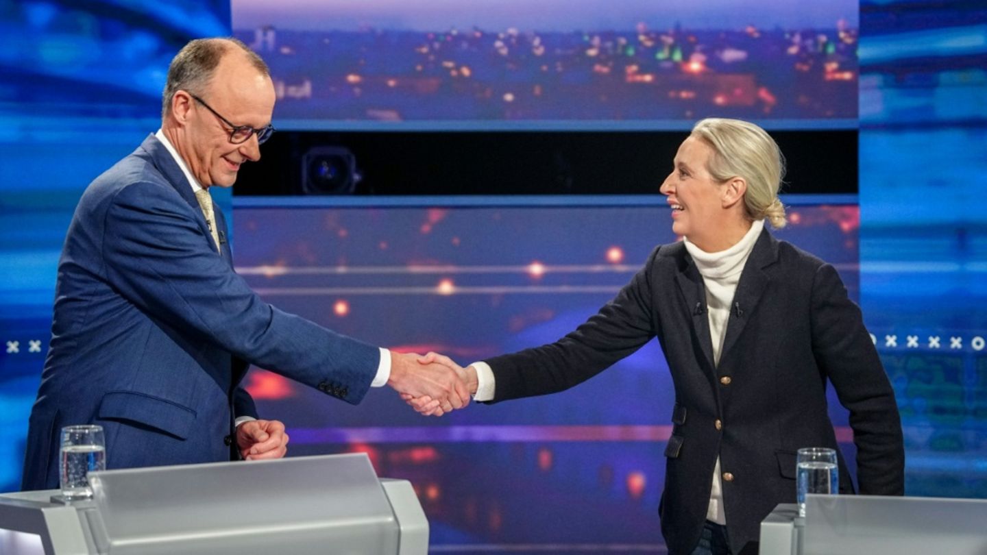 Merz und Weidel in einer TV-Sendung vor der Bundestagswahl