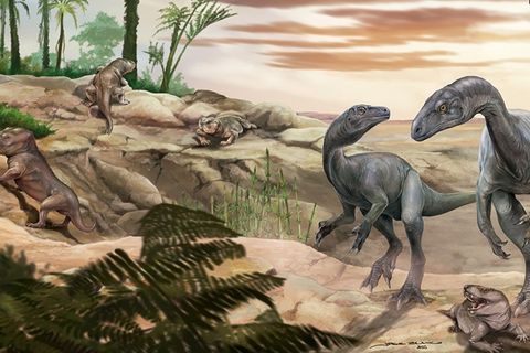 Künstlerische Darstellung des Dinosauriers Huayracursor jaguensis Foto: Jorge Blanco/CONICET Argentina/dpa