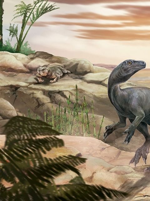 Künstlerische Darstellung des Dinosauriers Huayracursor jaguensis Foto: Jorge Blanco/CONICET Argentina/dpa