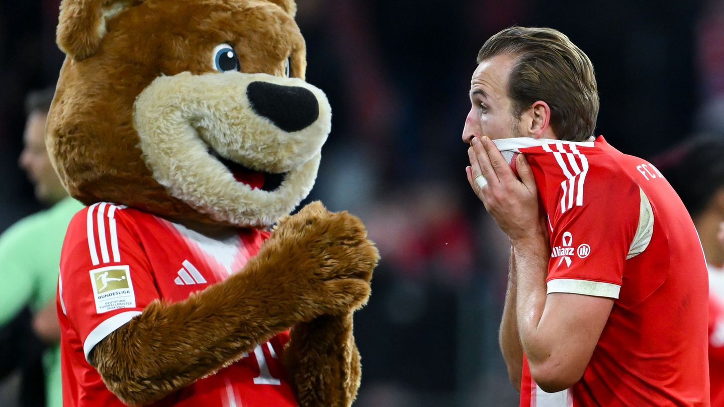 Harry Kane überzeugt beim FC Bayern aktuell in jeder Rolle. Foto: Sven Hoppe/dpa