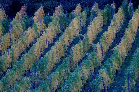 In der neuen Woche kann es in Deutschland zunehmend nass werden. Foto: Thomas Banneyer/dpa