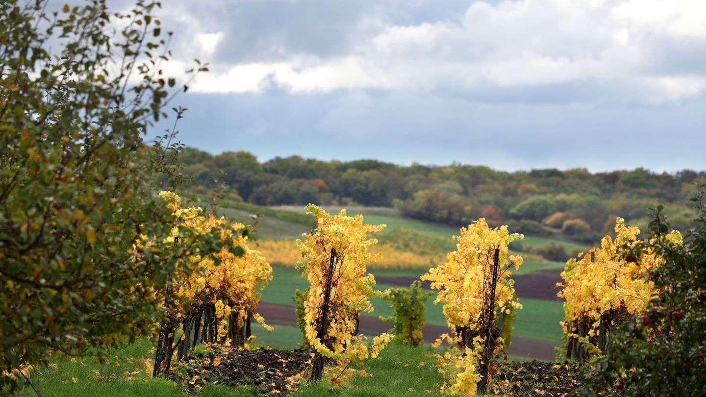 Wolken trüben den goldenen Herbst in Bayern in den kommenden Tagen. Foto: Karl-Josef Hildenbrand/dpa