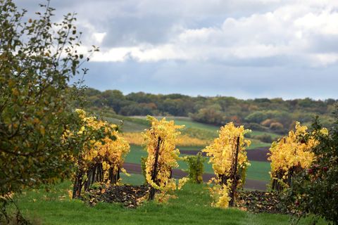 Wolken trüben den goldenen Herbst in Bayern in den kommenden Tagen. Foto: Karl-Josef Hildenbrand/dpa