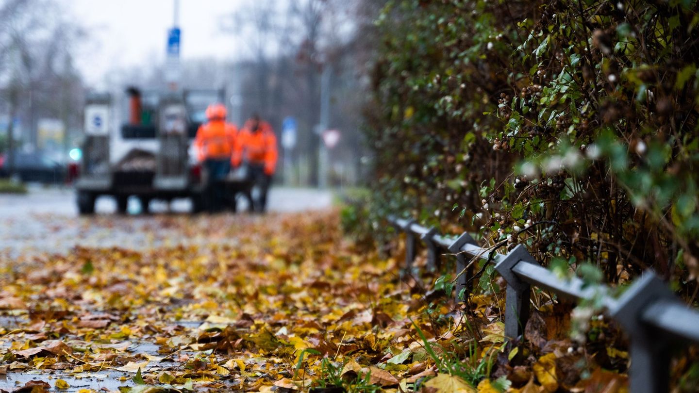 In der kommenden Woche soll es laut DWD mehrere regnerische Herbsttage geben. (Symbolbild) Foto: Alicia Windzio/dpa