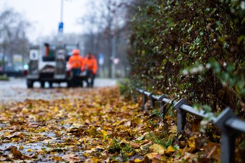 In der kommenden Woche soll es laut DWD mehrere regnerische Herbsttage geben. (Symbolbild) Foto: Alicia Windzio/dpa