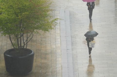 Meteorologen sagen nasse Herbsttage voraus. (Symbolbild) Foto: Marcus Brandt/dpa