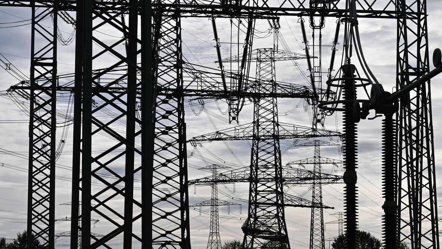 Die neue Stromleitung wurde in zweieinhalb Jahren Bauzeit errichtet. Foto: Martin Schutt/dpa