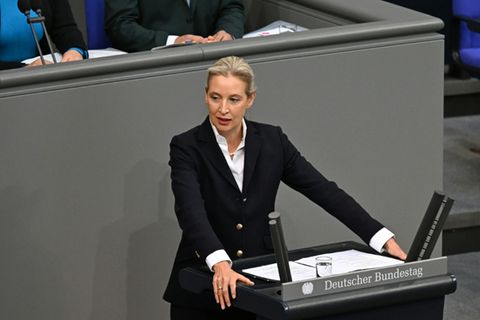 AfD-Chefin Weidel