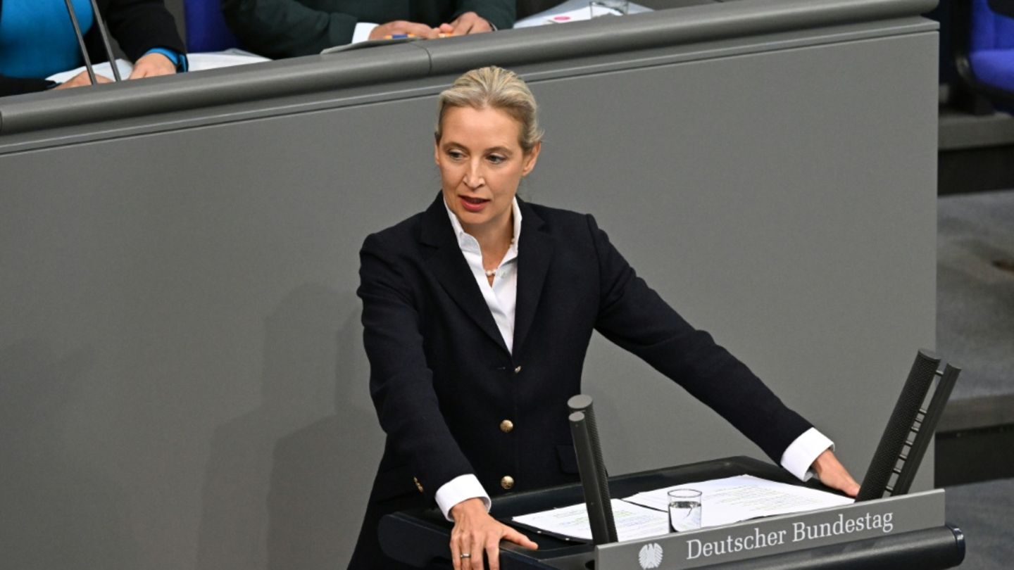 AfD-Chefin Weidel