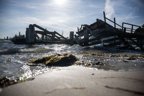 So sah es vielerorts nach der Herbststurmflut 2023 an der Ostsee aus. Foto: Hannes P Albert/dpa