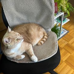 Stoov Heizdecke im Test