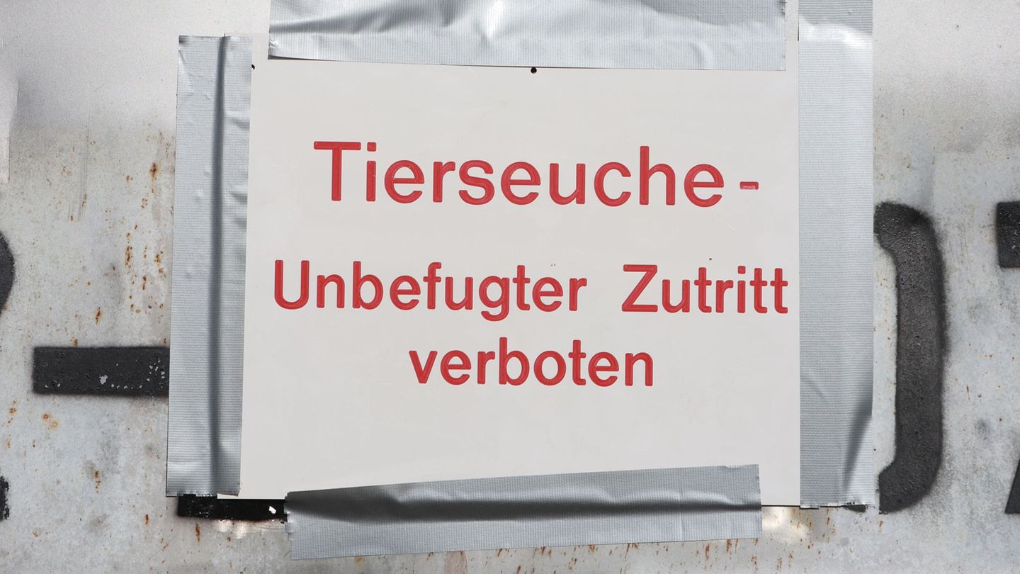 Halterinnen und Halter müssen ihr Geflügel noch strenger schützen. Foto: Matthias Bein/dpa