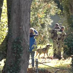 Spürhunde sind auf dem Gelände untwergs. Foto: Ivo Böhme/dpa