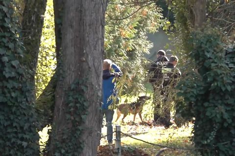 Spürhunde sind auf dem Gelände untwergs. Foto: Ivo Böhme/dpa