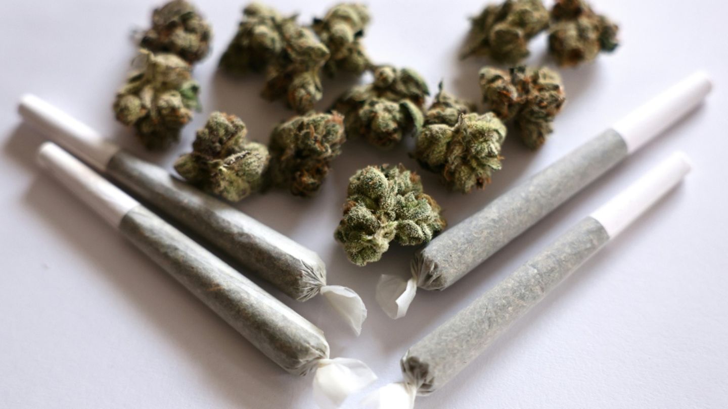 Cannabisblüten und Joints