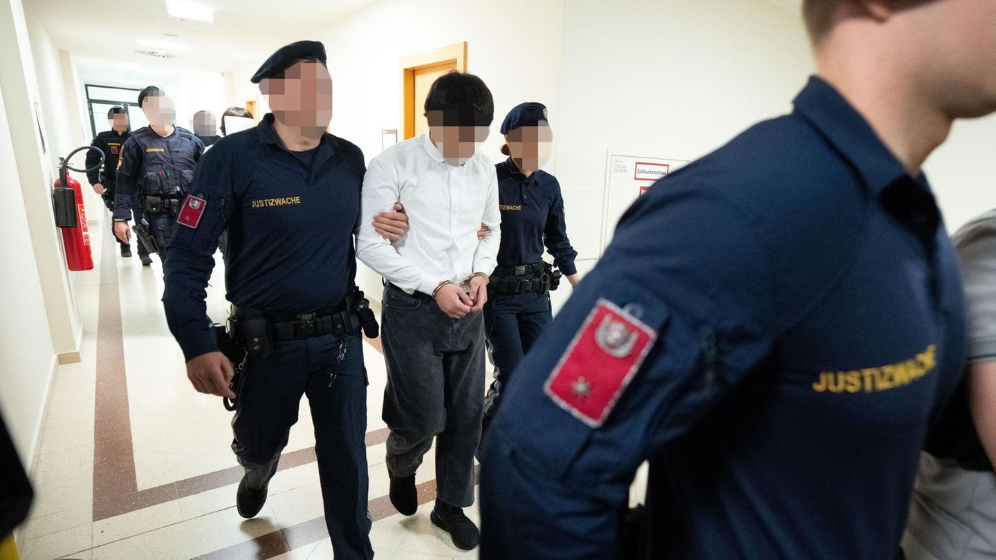 Wien: Ein mutmaßlicher Täter im Gericht