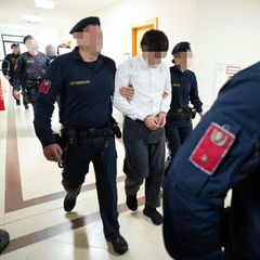Wien: Ein mutmaßlicher Täter im Gericht
