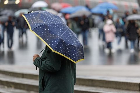 Regen und Sturmböen - der Herbst zeigt sich im Norden von seiner ungemütlichen Seite. (Symbolbild) Foto: Markus Scholz/dpa