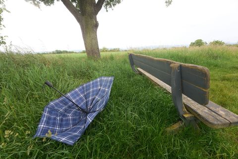 Einen Regenschirm sollte man heute bei sich haben. (Symbolfoto) Foto: Thomas Frey/dpa