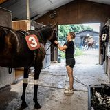 Brav! Eine Helferin kümmert sich vor und nach dem Rennen um die Tiere 