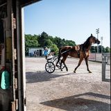 Pferd und Fahrer auf dem Weg ins Oval. Die Mitteldistanz geht über 2200 Meter 