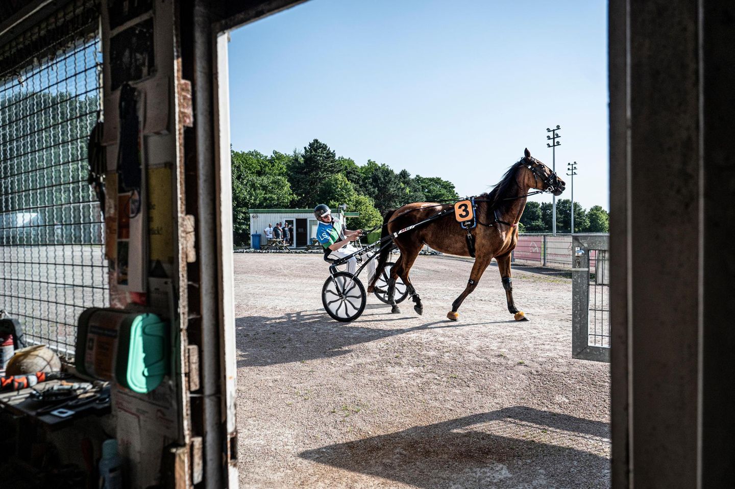 Pferd und Fahrer auf dem Weg ins Oval. Die Mitteldistanz geht über 2200 Meter 