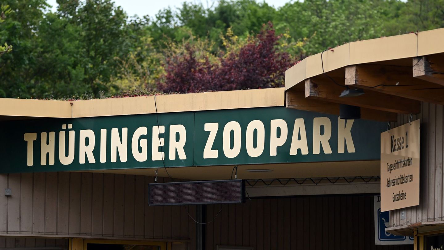 Der Erfurter Zoo wappnet sich gegen die Vogelgrippe. (Archivbild) Foto: Martin Schutt/dpa