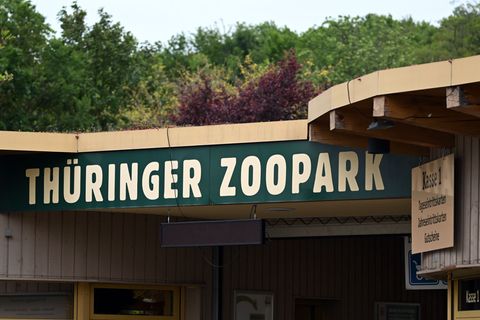Der Erfurter Zoo wappnet sich gegen die Vogelgrippe. (Archivbild) Foto: Martin Schutt/dpa