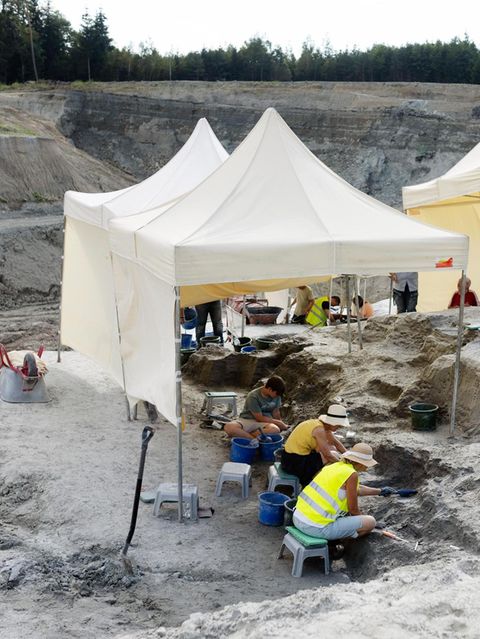 Eine Ausgrabungsstätte mit Zelten, Schaufeln und Werkzeugen Eine Ausgrabungsstätte mit Zelten, Schaufeln und Werkzeugen