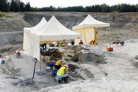 Eine Ausgrabungsstätte mit Zelten, Schaufeln und Werkzeugen Eine Ausgrabungsstätte mit Zelten, Schaufeln und Werkzeugen