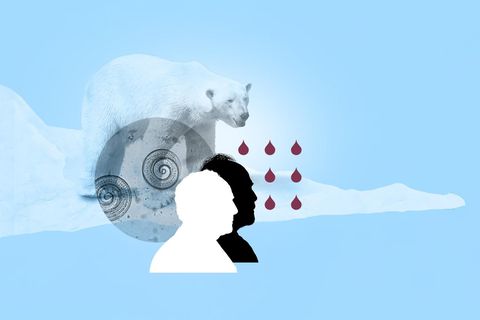 Illustration Muskelschmerzen und Fieber: zwei Männerköpfe und ein Eisbär Illustration Muskelschmerzen und Fieber: zwei Männerköpfe und ein Eisbär