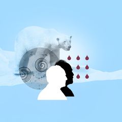 Illustration Muskelschmerzen und Fieber: zwei Männerköpfe und ein Eisbär